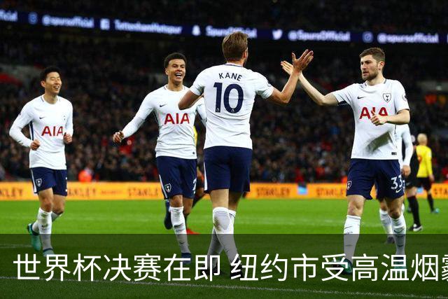 世界杯决赛在即 纽约市受高温烟霾夹击