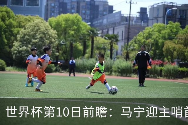 世界杯第10日前瞻：马宁迎主哨首秀 日本队踢第1000场里程碑