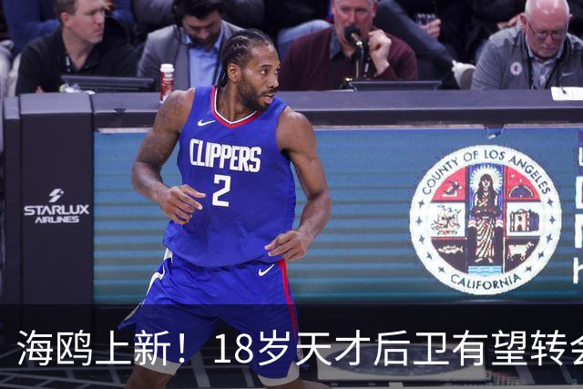 海鸥上新！18岁天才后卫有望转会英格兰，天赋顶级布莱顿要买
