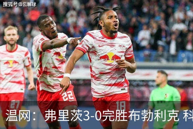 温网：弗里茨3-0完胜布勃利克 科博利费里挺进八强